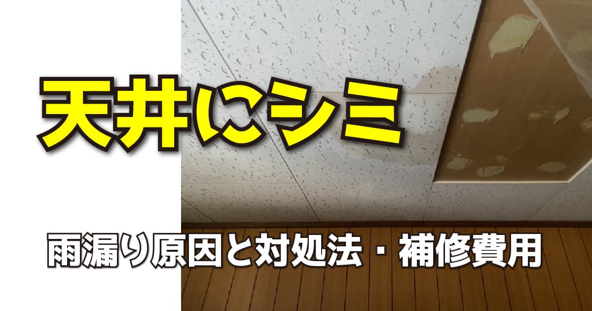 天井にシミ　雨漏り原因と対処法・補修費用